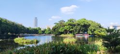 -小鲤鱼寻宝记·AR亲子户外剧本闯关(广州东山湖公园店)