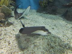 -福州罗源湾海洋世界旅游区