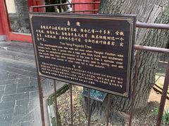 -蓬莱阁景区
