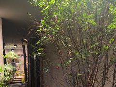 -森SPA·泰式按摩·精油Massage(宝安中心店)