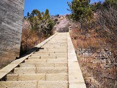 -方山国家森林公园