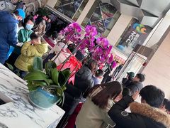 -天幕新彩云国际影城(激光巨幕店)