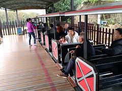 -武汉紫薇都市田园