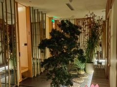 -梅间堂茶馆(绿地缤纷城店)