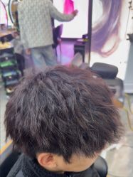 -藤野造型烫染