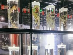 -广东中医药博物馆