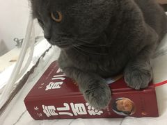 -赛百味SUBWAY(高新绿宝店)