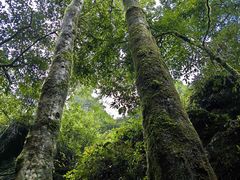 -梭布垭石林景区