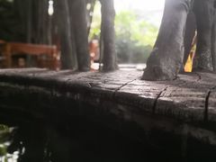-龙达温泉生态城