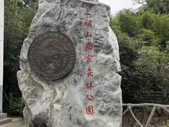 -王顺山国家森林公园