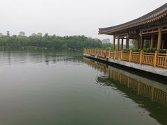 -小白鲨工夫潮膳(曲江店)