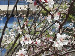 -中关村生命科学园