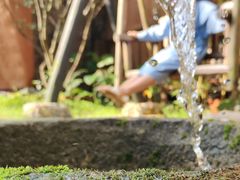 -天门沟九州驿站树上汤泉