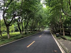 -宜兴龙背山森林公园