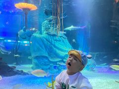 -沈阳海洋探索中心