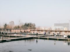 -特种渔场