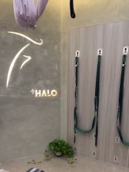 -Halo FLY运动空间