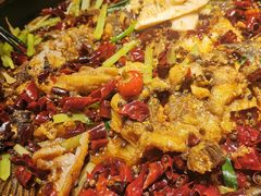 板烧鱼-老板恋上鱼(环山路店)