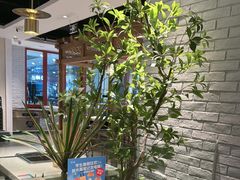 -野妹经典火锅(民治店)