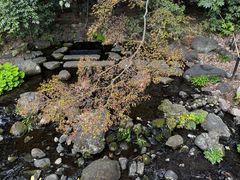 -井之头恩赐公园