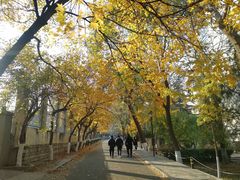 -山东师范大学(千佛山校区)