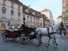 -斯蒂芬主教座堂(Stephansdom)