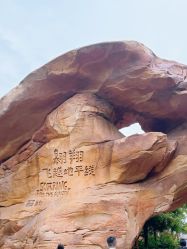 -翱翔飞越地平线