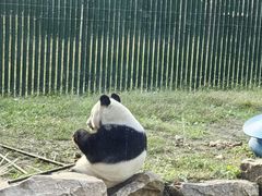 -沈阳森林动物园