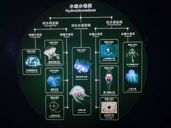 -青岛海底世界-水族馆