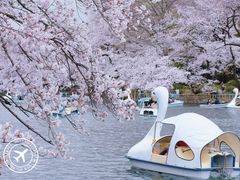 -井之头恩赐公园