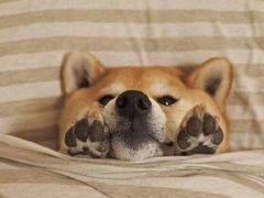 -老六素货(王顶堤店)