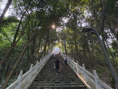 -成都老君山