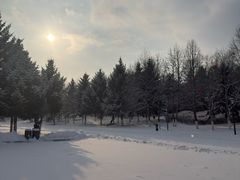 -长春世界雕塑园