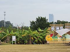 -长洲岛都市农业公园
