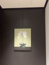 -CRAIE可瑞医美式医美·111SKIN