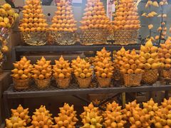 -越秀西湖花市(广州城市广场花卉店)