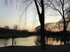 -大兴滨河森林公园