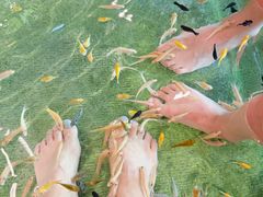 -芽庄中心购物广场