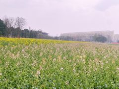 -中国天府农业博览园