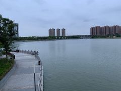 -映月湖中央公园