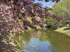 -长白岛森林公园