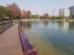 -四海公园(南山区)