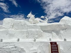-青海茶卡盐湖文化旅游发展股份有限公司