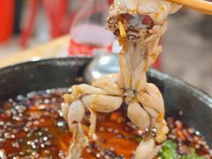 -鸿顺老铁锅美蛙鱼府(解放碑店)