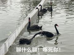 -李自健美术馆