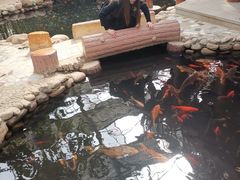 -北戴河集发农业梦想王国