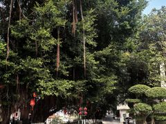 -莆田湄洲妈祖祖庙