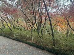 -灵顺寺