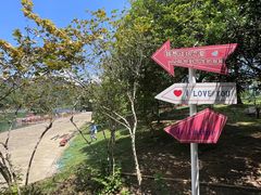 -九曲溪竹筏码头