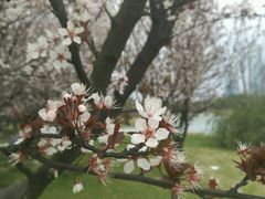 -艾溪湖湿地公园